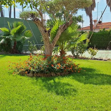 La Devesa Con Piscina Y A 200 Metros Del Mar 公寓